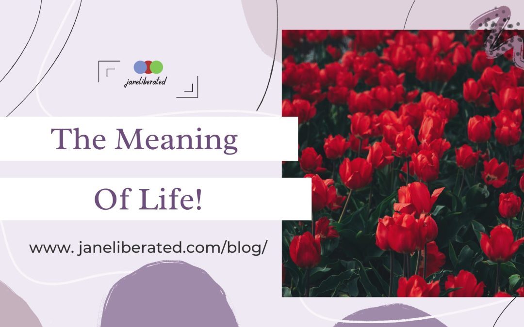 The Meaning Of Life!