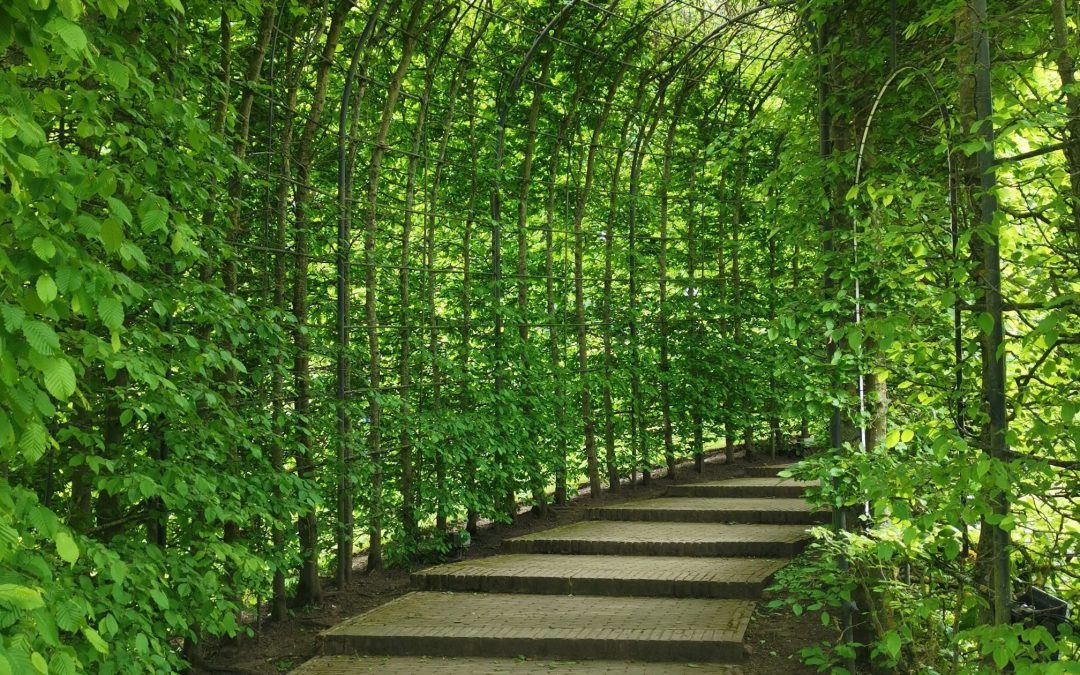 The Secret Weapon To Save And Change Your Life!