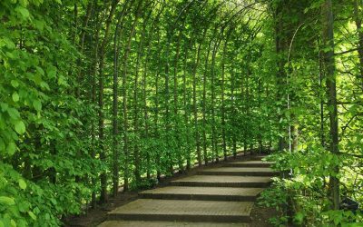 The Secret Weapon To Save And Change Your Life!