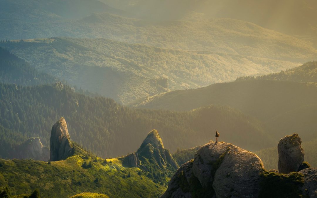 You Were Not Rejected, God Was Protecting You!