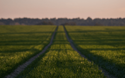 God Is Saying Let Them Go And Let Me Lead Your Way!