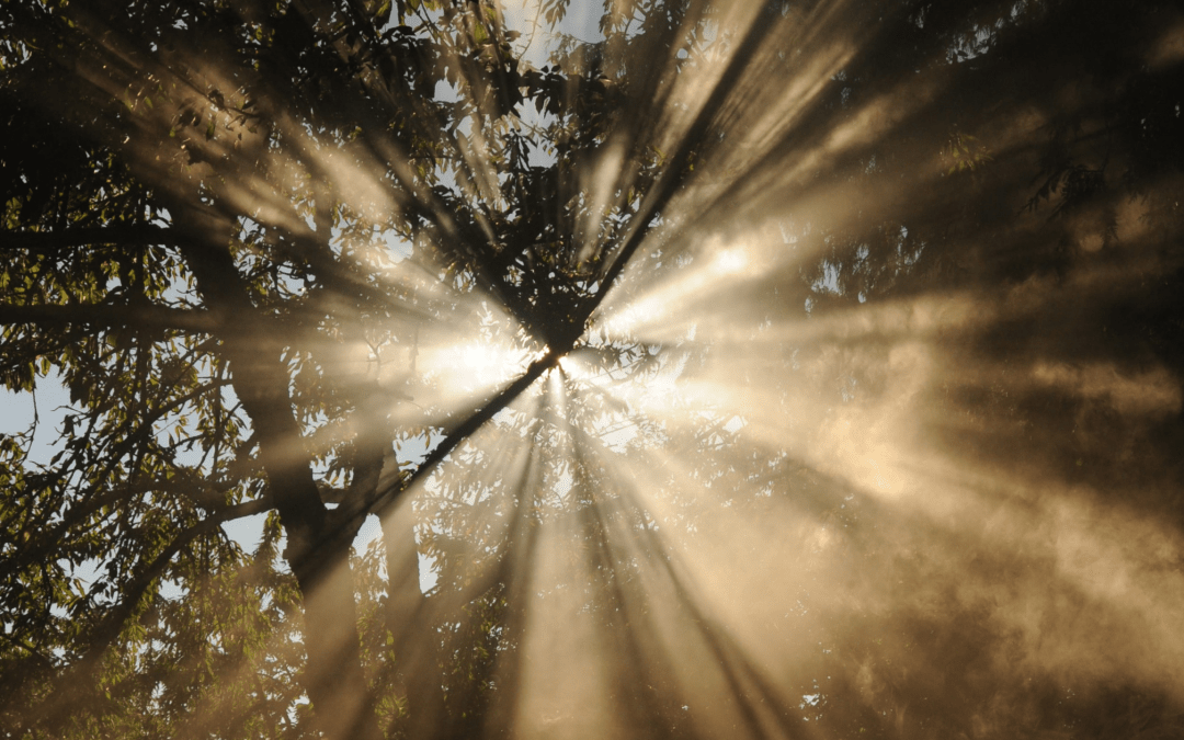 Why They Could Not Handle You! Your Light Is Too Bright For Them!