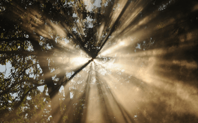 Why They Could Not Handle You! Your Light Is Too Bright For Them!