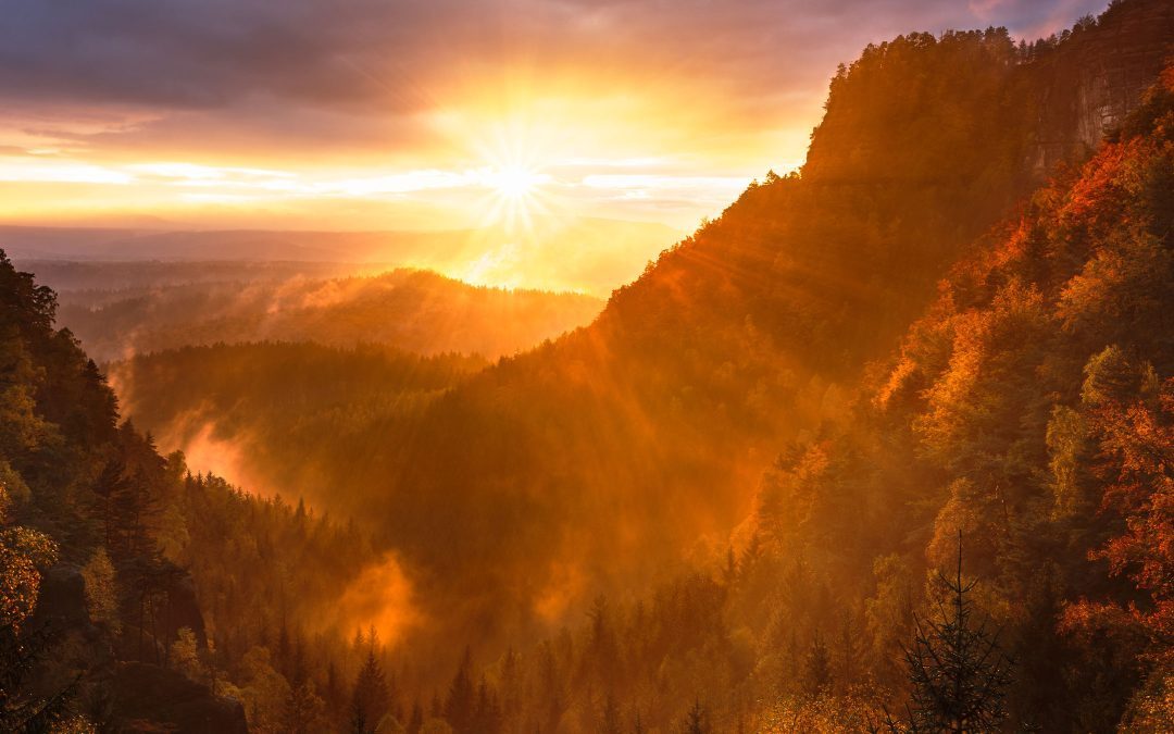 Be Careful of the Enemy Within!