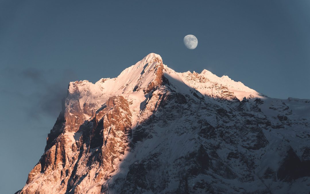 Be Careful of the Enemy Within