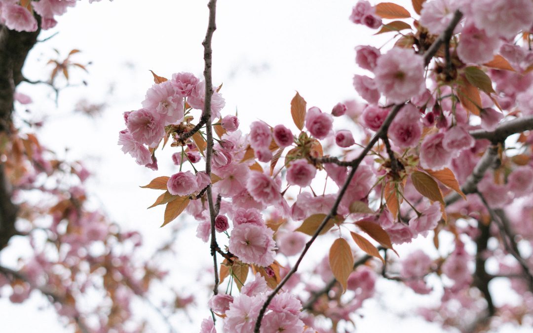 How to Overcome Shame