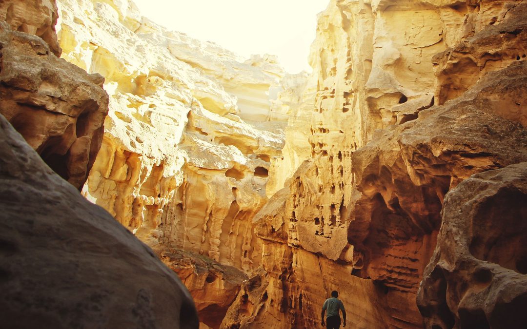 The Consequences of Shame