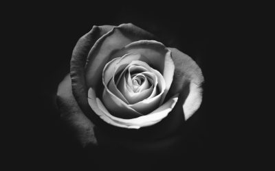 Narcissist use your vulnerabilty on you